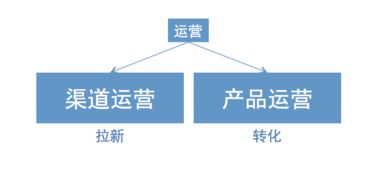 村里來了新運營 當女村官踏入互聯(lián)網(wǎng)浪潮